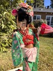 17    Japanese Geisha Doll Handcrafted Ichimatsu Ningyo  Silk Kimono  Wood Base 