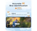 Bird Watching Camera  Hibird Smart Ai Identify And Auto Capture 10000  Bird Spec