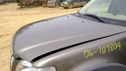  local Pickup Only  Hood Fits 06-10 Explorer 10280423