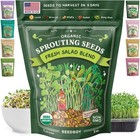 Organic Non-gmo Sprouting Seeds  Fresh Salad Blend      Grown Microgreens Mix W   