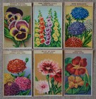 24 Vintage French Flower Seed Packet Labels Original 1920 s Lithographs