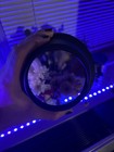 Mitsubishi 0l Ol-xd2000sz Short Throw Projector Lens Adapter Conversion 