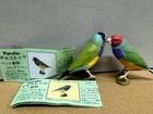 Furuta Kaiyodo Choco Egg Animal Figure - A Pair Gouldian Finches Bird Figurine 