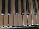 Vintage Del Monti Accordion Beautiful Condition And Light Green Color One Owner