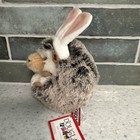 5  Spunky Hedgehog With Bunny Ears Plush Stuffed Animal Toy