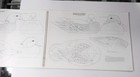 Patrick R  Godin Championship Waterfowl Marsh Duck Patterns Softcover