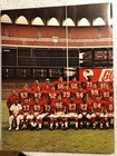 1967 St  Louis Football Cardinals Yearbook - Nfl - Mint 