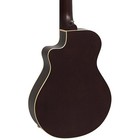 Yamaha Apx Thinline 3 4 Size Acoustic-electic Guitar Tobacco Sunburst