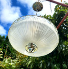 Antique Art Nouveau Hanging Chandelier Ceiling Fixture W glass Shade Rewired