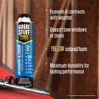 Great Stuff Pro Window And Door Foam  12  Cans  Foam Gun  2 Cleaner