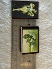 1980s Collectible 2 Matchbooks Las Vegas Theme