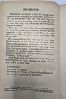 Vintage The Old Man   The Tiger Book   Record By Alvin Tresselt Hardcover 1965