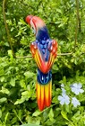 Talavera Bird Handmade Painted Ceramic Parrot Mexican Pottery Hanging Patio  2