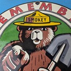 Vintage Smokey Bear Porcelain Sign - Only You Can Prevent Wildfires Sign