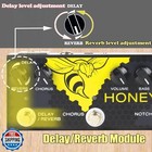 Caline Acoustic Guitar Multi Effects Pedal With Delay Chorus Reverb Eq Aux Di