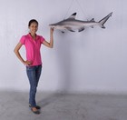 Hanging Black Tip Shark Resin Statue Sea Prop Ocean Animal Display Marine Decor