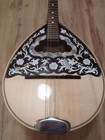 Greek Bouzouki With Softcase   Pick Up   Tuner   300 Backing Track With Scores 