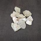 White Abalone Pearlized Assorted Pieces  10 Pieces Approx  0 75  Inches 
