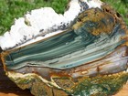 Tcr Blue Mountain Jasper  rough Slab 384g    Vibrant Orbs And Streamers    Oregon