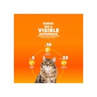 2 Pack Iams Proactive Health Indoor Weight And Hairball Care Dry Cat Food 22lb