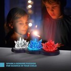 Light-up Crystal Growing Kit For Kids - Science Kits One Size  Multi-colored