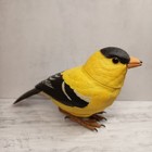 Realistic American Goldfinch Bird Sing   Move Figure Breezy Singer Tested   Work