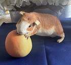 Sherratt And Simpson Guinea Pig Eating An Apple Figurine 55208 Heavy