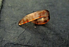 Vintage Tortoise Celluloid Thin Finger Pick For Guitar  Banjo  Dobro From Japan