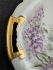 Antique Limoges     Hand Painted Tray Signed Dated May 1895