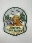 Smokey Bear Forest Service Prevent Forest Fires Sew On Patch