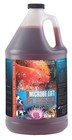 Microbe Lift Pl 1 Gal Koi Pond Clarifier 10plg4  Beneficial Bacteria   Free