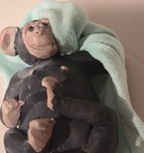 5    Funny Gift Gag Joke Penis Monkey Dick Chimpanzee Statue Desk Fun Decor 