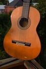 1982 Yamaha G-231 Ii Classical Guitar - Taiwan - Chipboard Case