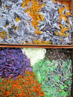 50ct Assortment 1 5  Micro Craws Crappie Fishing Baits Panfish Trout Lures Bream