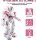 Rc Robot Programmable Intelligent Walk Sing Dance Smart Robot For Kids Toy Gift