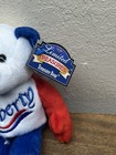 Limited Treasures Liberty Coin Bear   New With Tag  1999 -2003