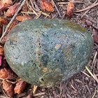  Crab  Fossil    restoration Point-high Intensity Day Uv Glow   verified Double Claw