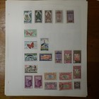 French Colonies Stamps Collection 10 Pages Maroc Cameroun Niger Reunion Tunisie