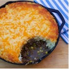 Lodge 12  Seasoned Cast Iron Skillet