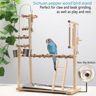 Bird Playground Parrot Playstand Bird Perch Stand Gym Natural Wood Play Stand Wi