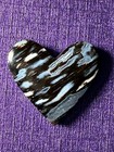 Petrified Palm Wood Heart Cabochon