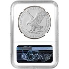2025 American Silver Eagle - Ngc Ms69