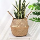 Woven Seagrass Belly Basket For Storage Plant Pot Indoordecorative Sturdy And Du