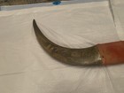 Rare Vintage Water Buffalo Horns Mount Hand Carved 33    Philippines