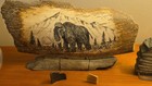 Mammoth   Mastodon Fossil Collection Display