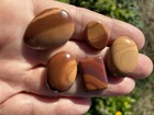 Bruneau Jasper Cabochon Collection- 5 Old Stock Pieces 