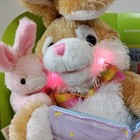 Dan Dee Animated Light Up 12  Bunny - The True Story Of Easter - See Video  read