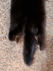 Nice Large Black Mink Fresh Tanned Hide Soft Leather Craft Pelt Fur 