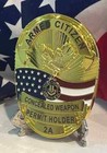 Armed Citizen Badge Gold