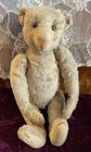 Antique 13    Rare Mohair Steiff Fully Jtd Teddy Bear  Kind Of Bald